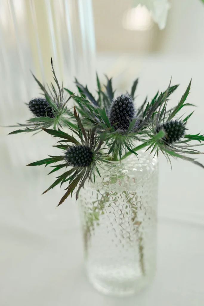 Decoración de Boda en Cumbayá